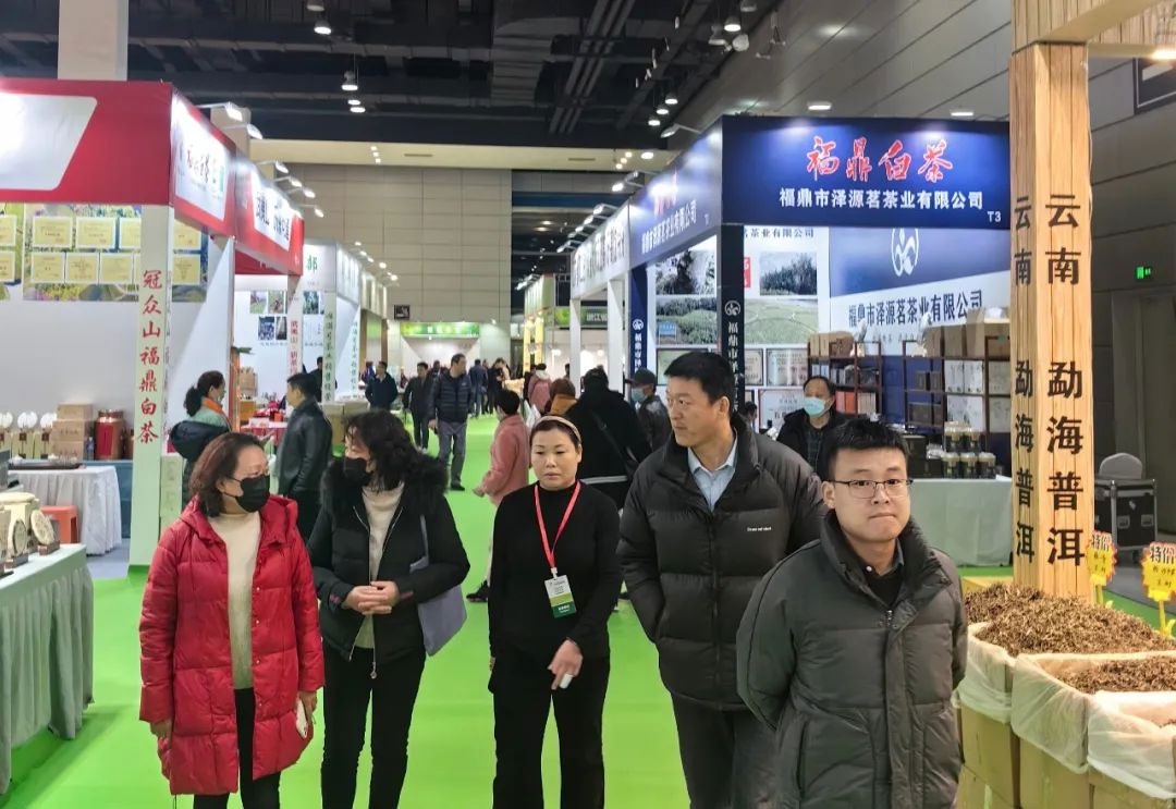 茶香扑鼻，人潮涌动！无锡茶博会今天火热开幕，万千茶友的年度狂欢，精彩不容错过！